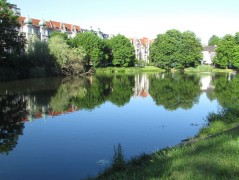 URBAN PONDS