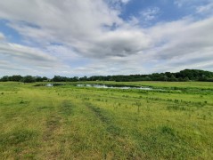 RURAL PONDS