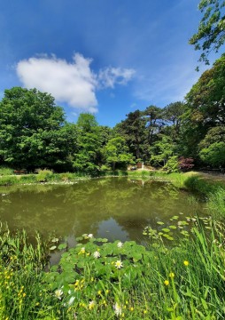 Odonates sampling – Botanical Garden, Lund (WP3, WP5)