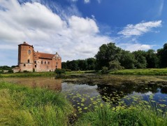 Torups slottsträdgård, Bara – odonates sampling (WP5)