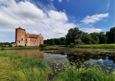 Odonates sampling – Torups slottsträdgård, Bara (WP5)