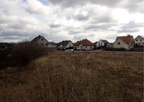 Amphibians sampling – Łyżwiarska, Borkowo, Gdańsk