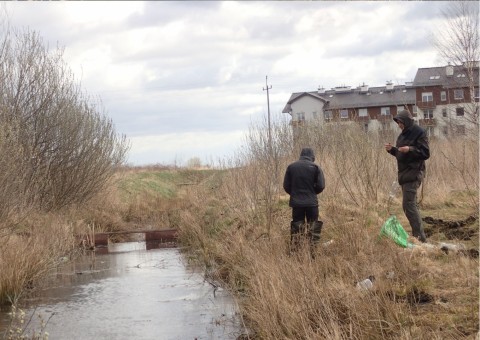 Amphibians sampling – Łyżwiarska, Borkowo, Gdańsk