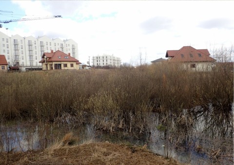 Amphibians sampling – Łyżwiarska, Borkowo, Gdańsk