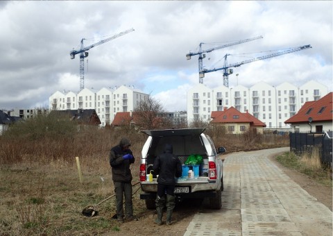 Amphibians sampling – Łyżwiarska, Borkowo, Gdańsk