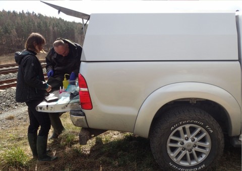 Amphibians sampling – Jezioro Kackie, Gdynia