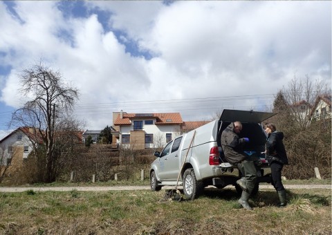 Amphibians sampling – Jezioro Kackie, Gdynia