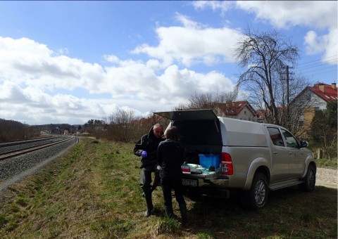 Amphibians sampling – Jezioro Kackie, Gdynia