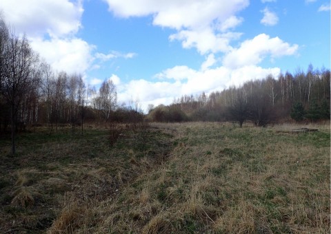 Amphibians sampling – Zakoniczyn, Gdańsk