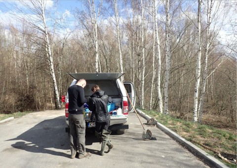 Amphibians sampling – Zakoniczyn, Gdańsk