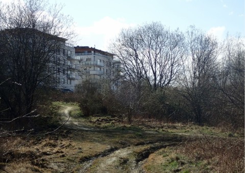 Amphibians sampling – Taneczna, Gdańsk