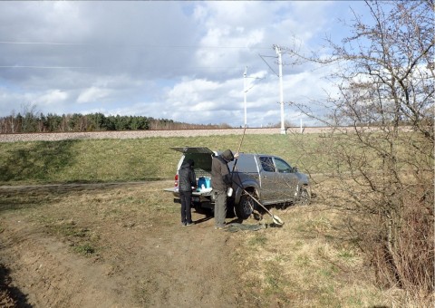 Amphibians sampling – Taneczna, Gdańsk