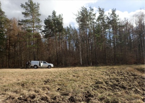 Amphibians sampling – Chwarzno-Wiczlino, Gdynia