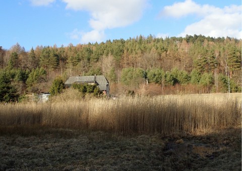 Amphibians sampling – Oliwa, Gdańsk