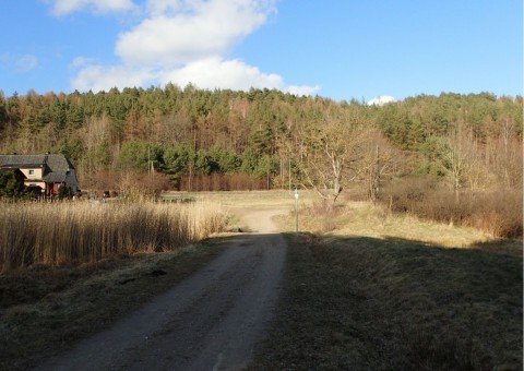 Amphibians sampling – Oliwa, Gdańsk