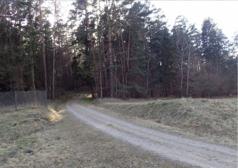 Amphibians sampling – Oliwa, Gdańsk