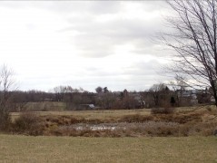 Tricity Landscape Park, Reszki area – amphibians sampling