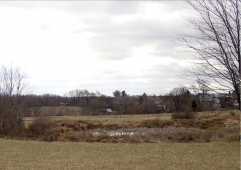 Amphibians sampling – Tricity Landscape Park, Reszki area