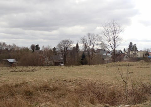 Amphibians sampling – Tricity Landscape Park, Reszki area