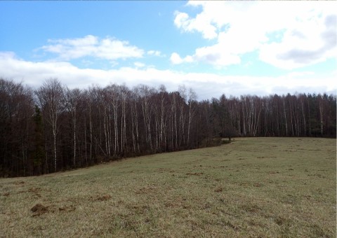 Amphibians sampling – Tricity Landscape Park, Reszki area