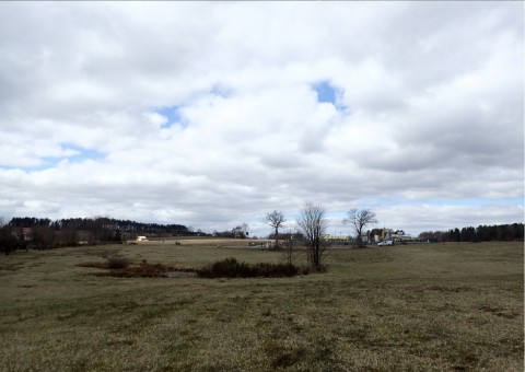 Amphibians sampling – Tricity Landscape Park, Reszki area