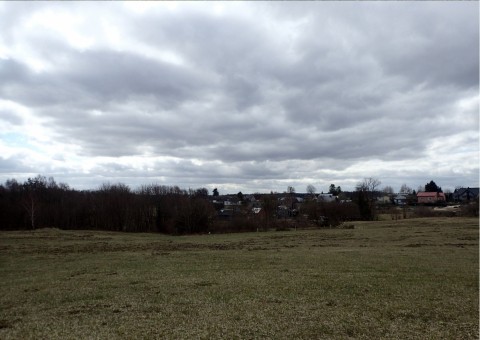 Amphibians sampling – Tricity Landscape Park, Reszki area