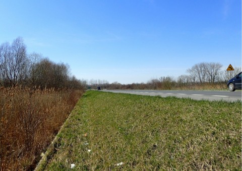 Amphibians sampling – Proszowice area