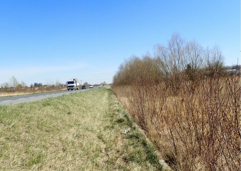 Amphibians sampling – Proszowice area