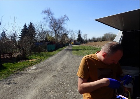 Amphibians sampling – Proszowice area