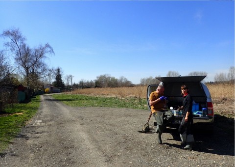 Amphibians sampling – Proszowice area