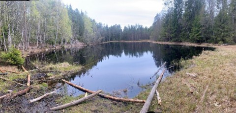 Amphibians sampling – Oslo area