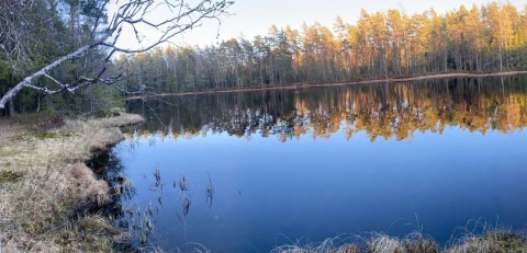 Amphibians sampling – Oslo area