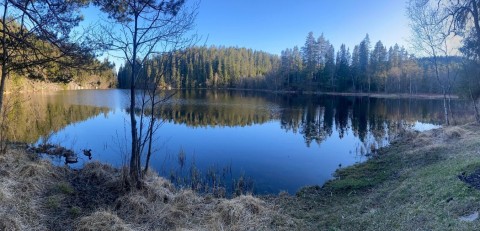 Amphibians sampling – Oslo area