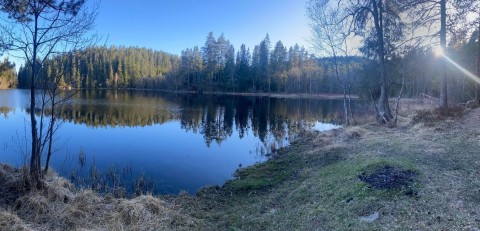 Amphibians sampling – Oslo area