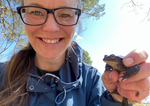 Amphibians sampling – Oslo area