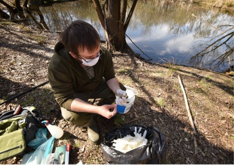 Amphibians sampling – Botewa, Kraków