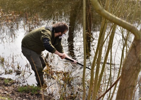 Amphibians sampling – Zakrzówek, Kraków