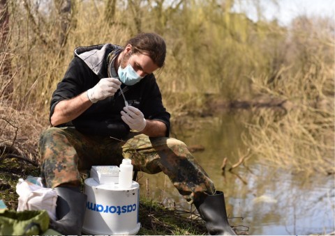 Amphibians sampling – Zakrzówek, Kraków