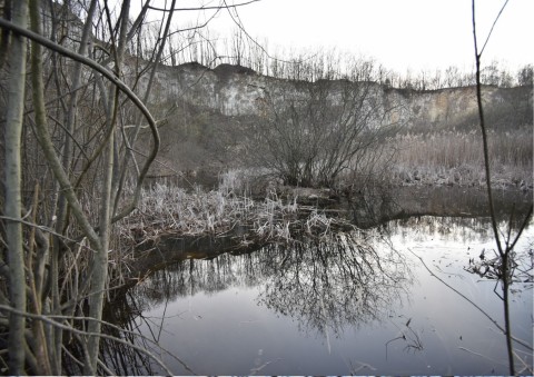 Amphibians sampling – Liban, Kraków