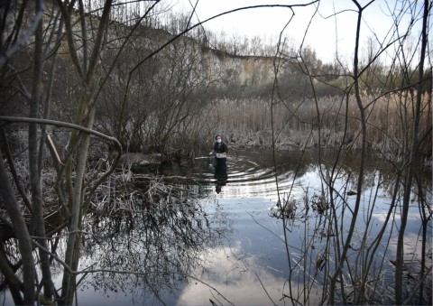 Amphibians sampling – Liban, Kraków