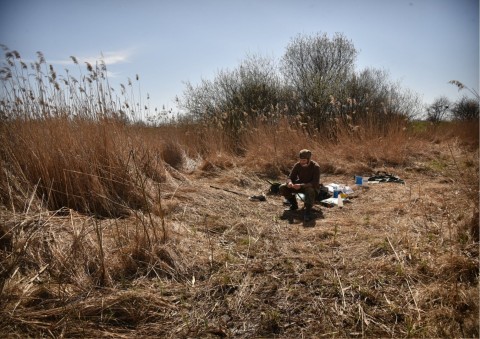 Amphibians sampling – Łąki Nowohuckie, Kraków