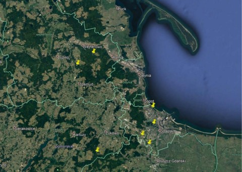 Bufo bufo sampling sites in Tricity area