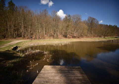 Amphibians sampling –  Tricity Landscape Park, Gniewowo area