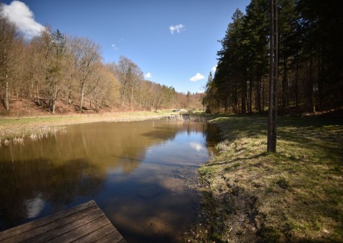 Amphibians sampling –  Tricity Landscape Park, Gniewowo area