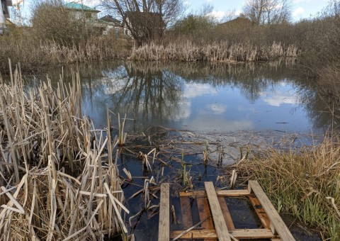 Water sampling – Łyżwiarska, Borkowo, Gdańsk