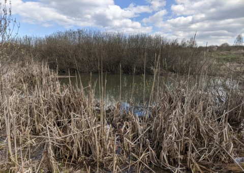 Water sampling – Łyżwiarska, Borkowo, Gdańsk