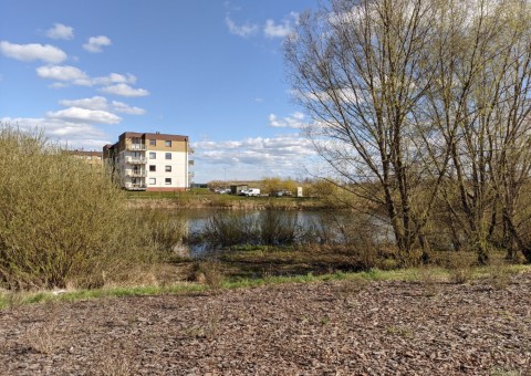 Water sampling – Zielony Staw, Gdańsk