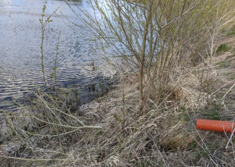 Water sampling – Zielony Staw, Gdańsk