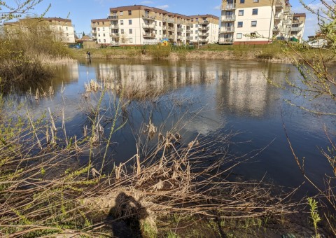 Water sampling – Zielony Staw, Gdańsk