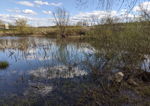 Water sampling – Zielony Staw, Gdańsk